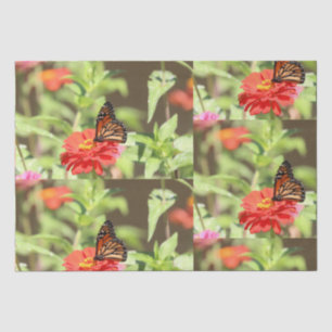 Oktober Seidenpapier