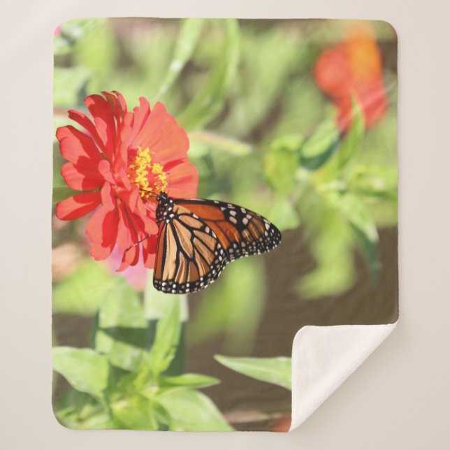 Oktober Sherpadecke (Vorderseite)