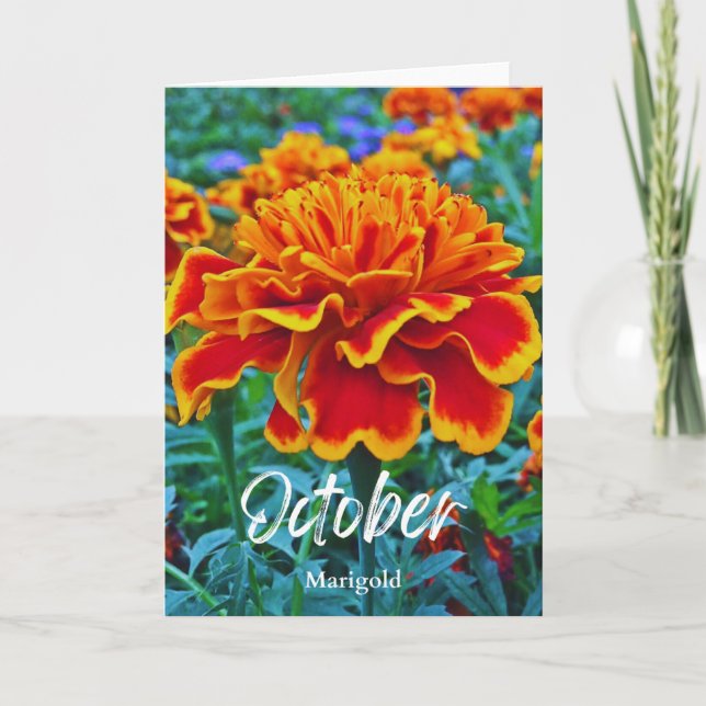 Oktober Yellow Gold Marigold Birth Monat Blume Karte (Vorderseite)