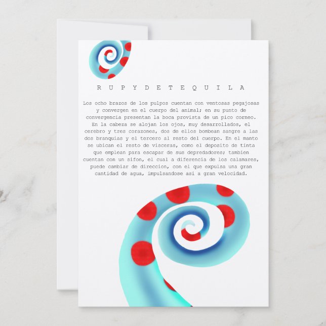 Oktopus (Vorderseite)