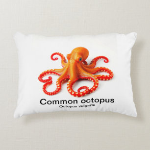 Oktopus auf einem Kissen