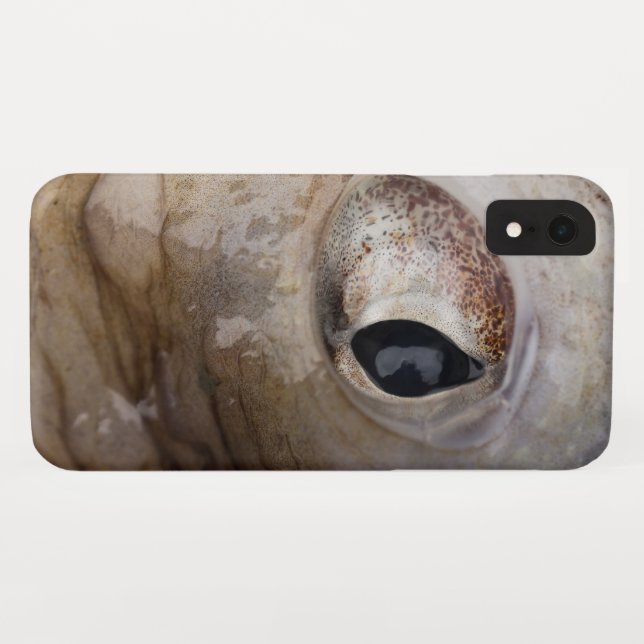 Oktopus Case-Mate iPhone Hülle (Rückseite (Horizontal))