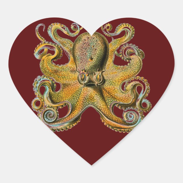 Oktopus Herz-Aufkleber (Vorderseite)