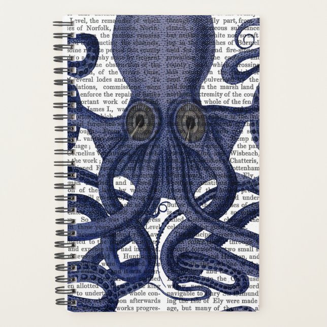 Oktopus hoch Nah Planer (Vorderseite)