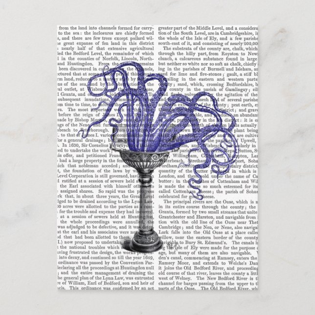 Oktopus in Sink Postkarte (Vorderseite)