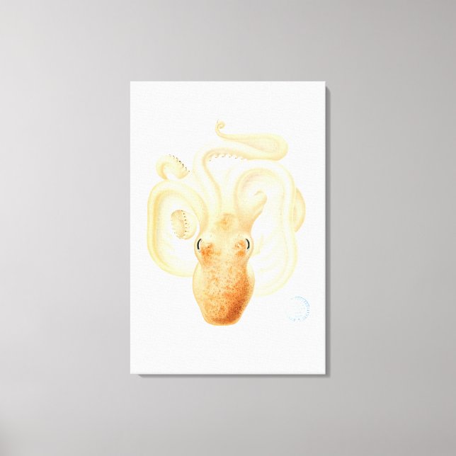 Oktopus Leinwanddruck (Vorderseite)