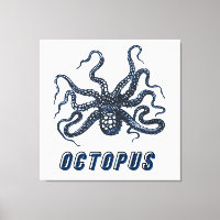 Oktopus
