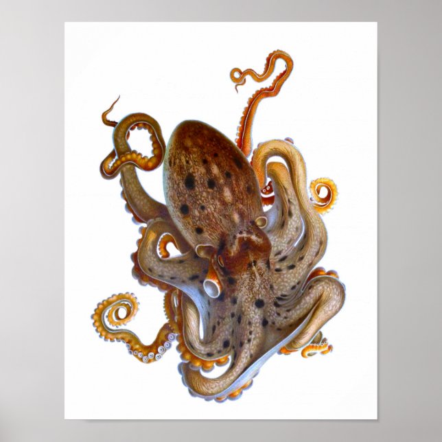 Oktopus-Meer-Kreatur Poster (Vorne)