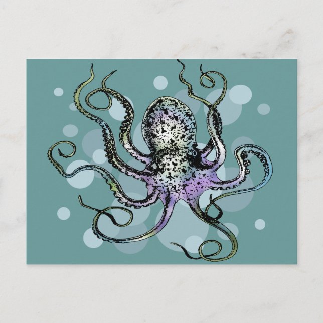 Oktopus Postkarte (Vorderseite)