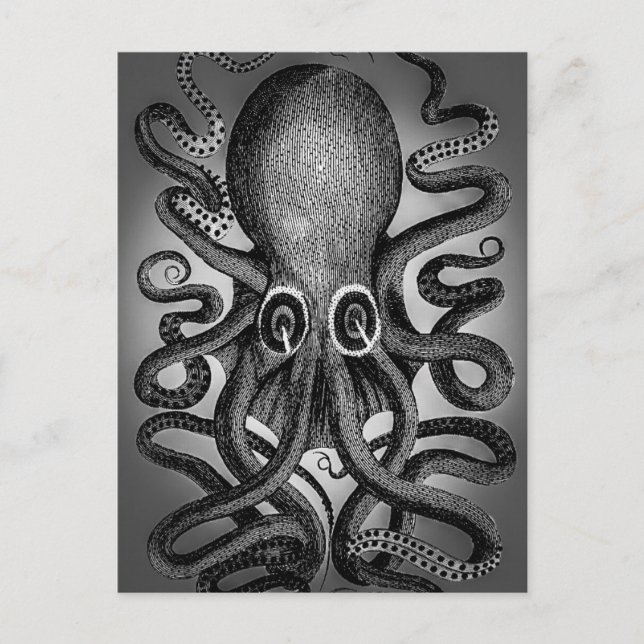 Oktopus-Postkarte Postkarte (Vorderseite)
