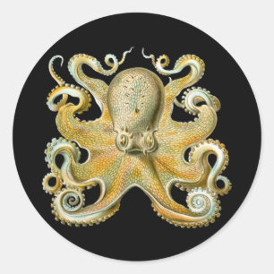 Oktopus Runder Aufkleber