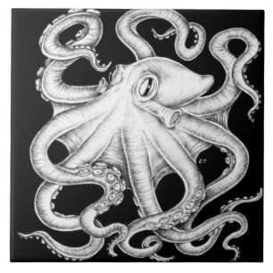 Oktopus Schwarz-Weiß-Tinte Fliese