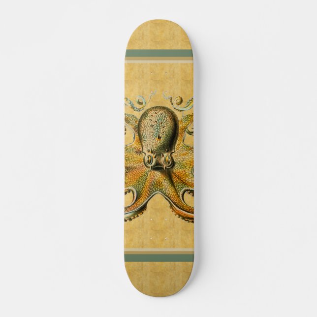 Oktopus-Skateboard Skateboard (Vorne)