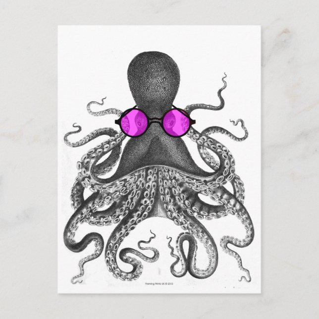 Oktopus Sonnenbrille Neugier Postkarte (Vorderseite)