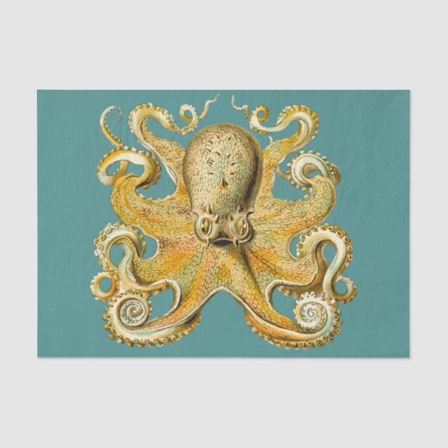 Oktopuspapier Seidenpapier (Vorderseite)