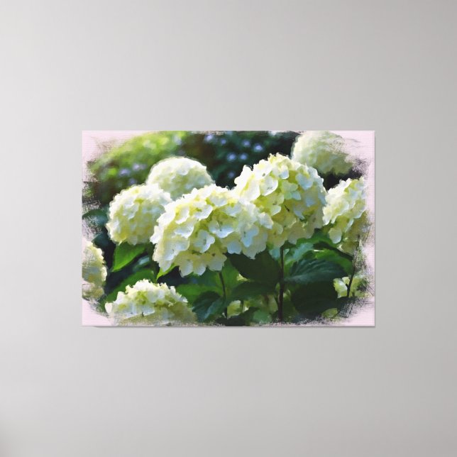 *~* Öl Hydrangea TV2 Kunstgearbeitete Canvas Print Leinwanddruck (Vorderseite)