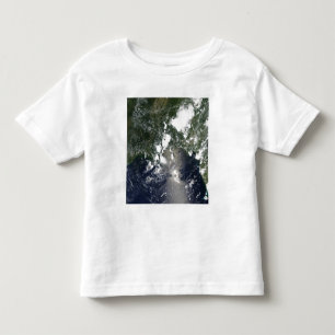Öl verbreitet nordöstlich kleinkind t-shirt