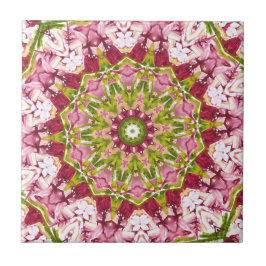 Ola Boos rosa & grüne Kaleidescope-Tile Fliese