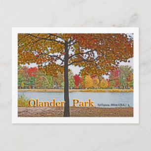 Olander Park, Sylvania, Ohio USA/Herbstfarben Postkarte