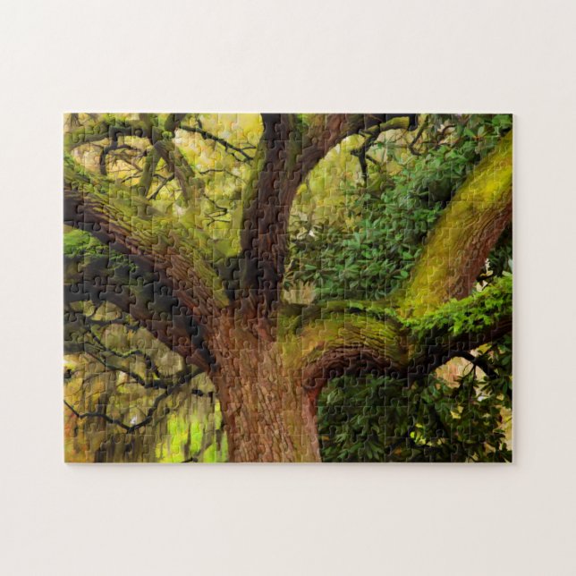 Ölbaum (Horizontal)