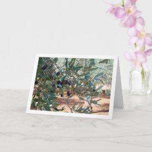 Ölbaum-Porträt Karte