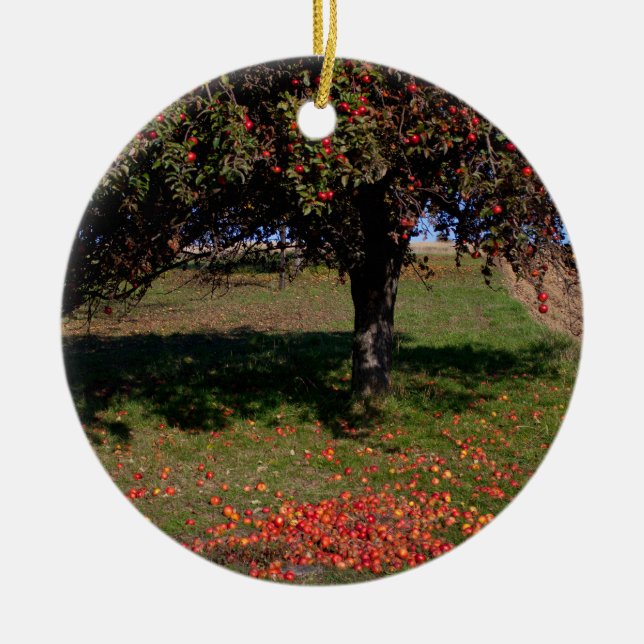Old Apple Tree Keramikornament (Vorne)