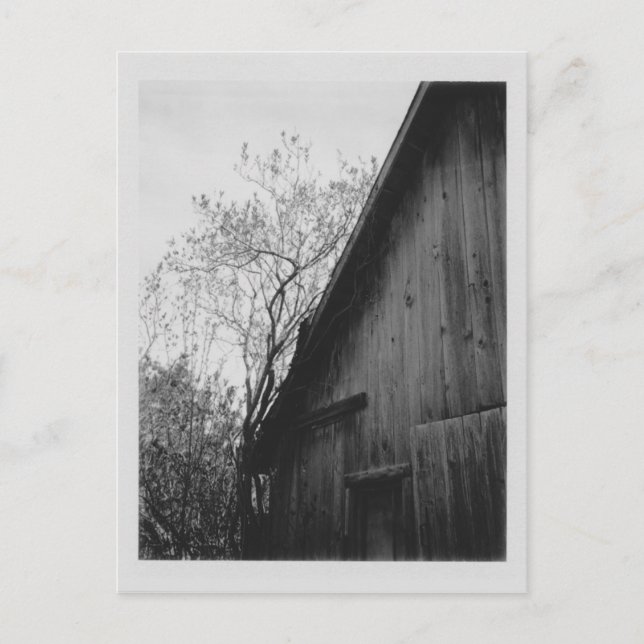 Old Barn Postcard Postkarte (Vorderseite)