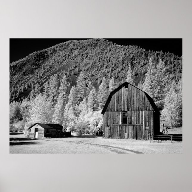 Old Barn Poster (Vorne)