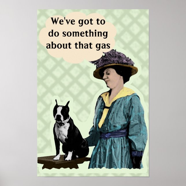 Old BostonTerrier Poster (Vorne)
