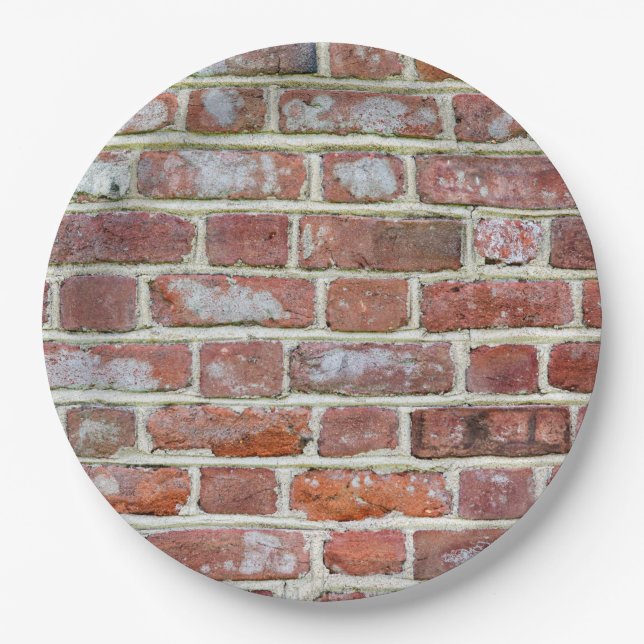 Old Brick Wall Pappteller (Vorderseite)