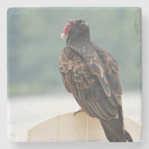Old Buzzard Stone Untersetzer