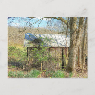Old Chicken Coop Postkarte