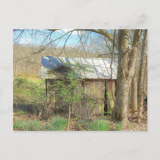 Old Chicken Coop Postkarte (Vorderseite)