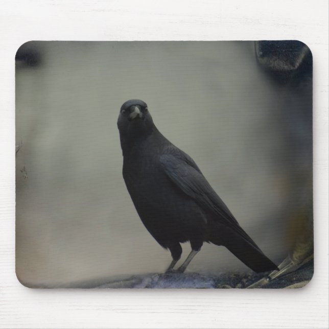 Old Crow Art Mousepad (Vorne)