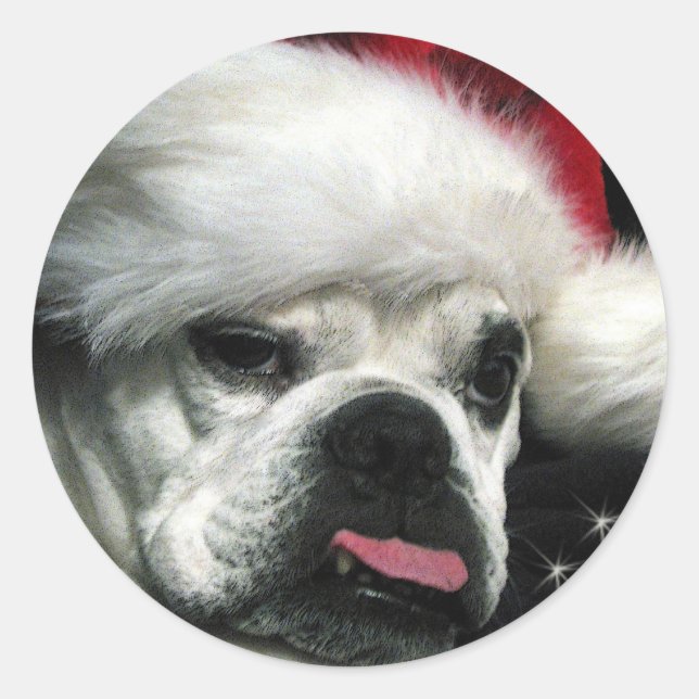 Old English Bulldog Christmas Runder Aufkleber (Vorderseite)