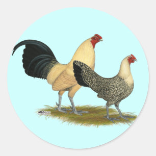 Old English Cream Buttercups Runder Aufkleber