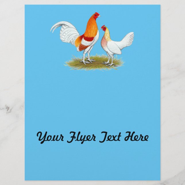 Old English Game Bantam: Red Pyle Flyer (Vorne)