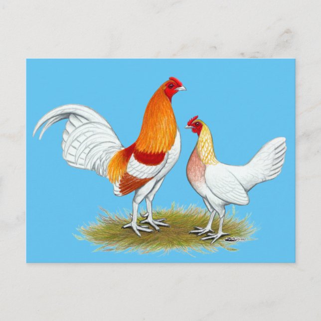 Old English Game Bantam:  Red Pyle Postkarte (Vorderseite)