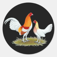 Old English Game Bantam: Red Pyle