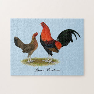 Old English Game Bantams: BB Red Pair