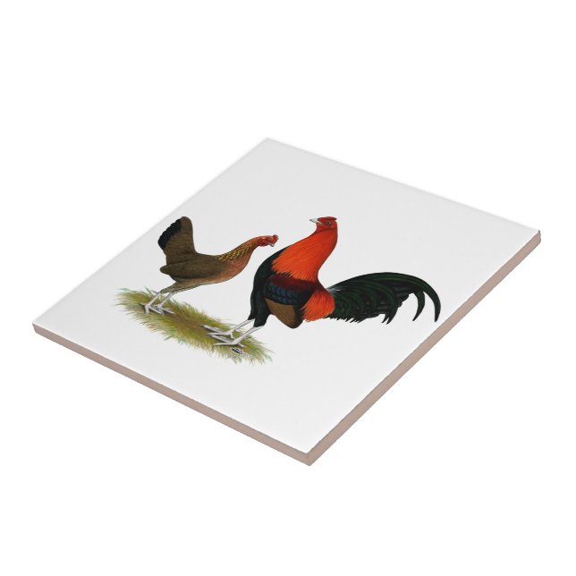 Old English Game Bantams:  BB Red Pair Fliese (Seite)