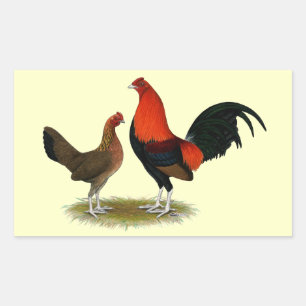 Old English Game Bantams: BB Red Pair Rechteckiger Aufkleber