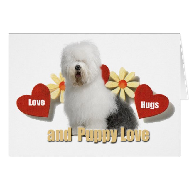 Old English Sheepdog (Vorderseite (Horizontal))