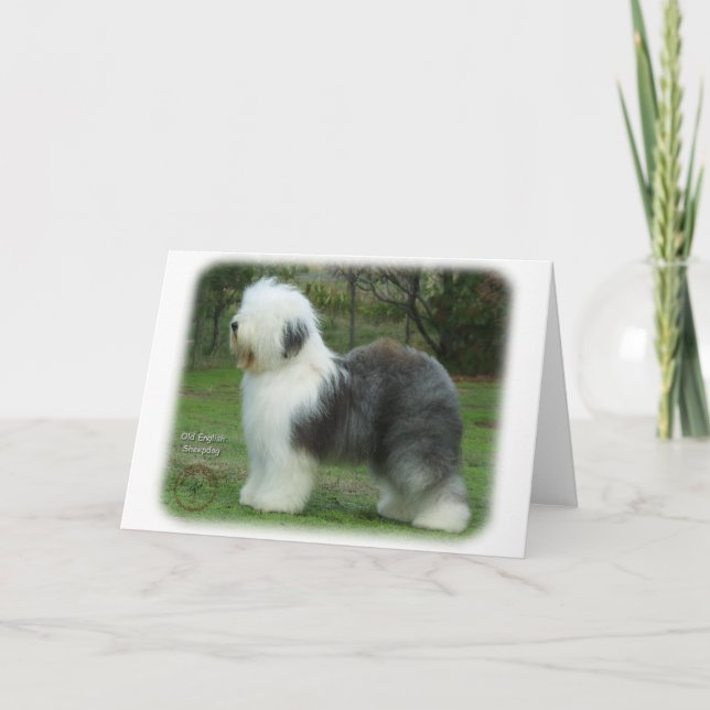 Old English Sheepdog 9F054D-18 Karte (Vorderseite)
