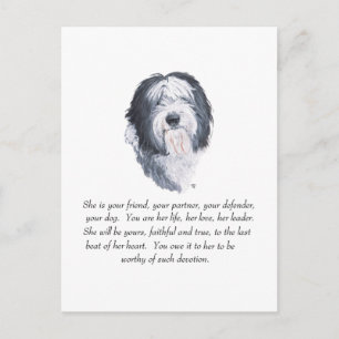 Old English Sheepdog Andenken Postkarte