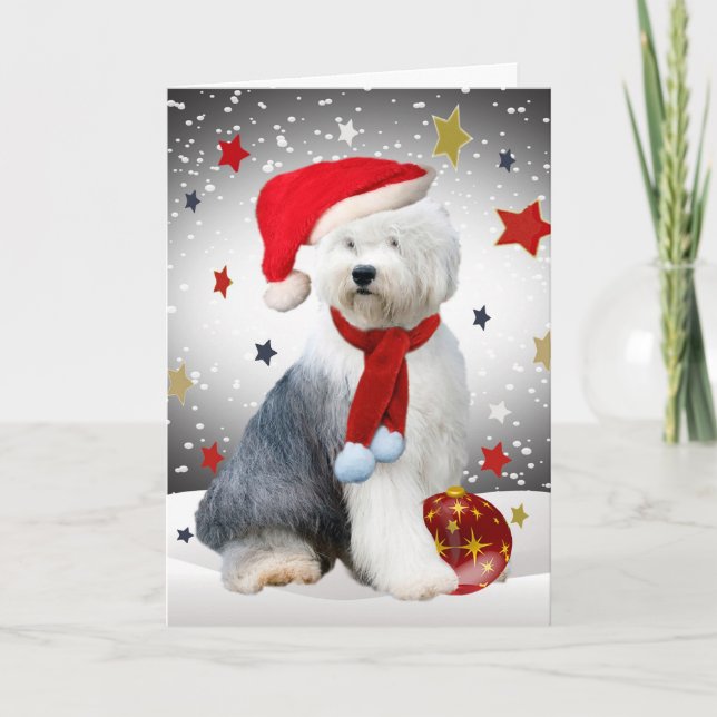 Old English Sheepdog Christmas Stars Feiertagskarte (Vorderseite)