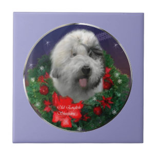Old English Sheepdog Fliese