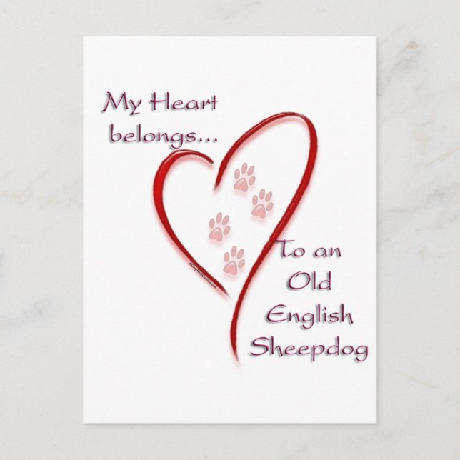 Old English Sheepdog Heart Belongs Postkarte (Vorderseite)