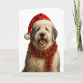 Old English Sheepdog in a Santa hat Christmas card Karte