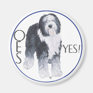 Old English Sheepdog Kopfstudie Magnet